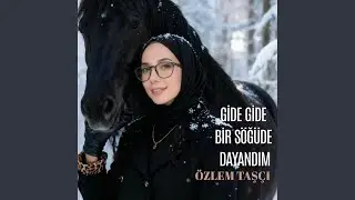 Gide Gide Bir S&ouml;ğ&uuml;de Dayandım