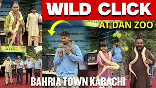 Live Interaction With Animals At DAN Zoo Bahria Town Karachi| Wild Click at DAN Zoo #bahriatown