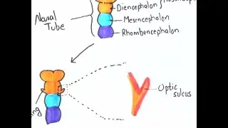 Development of EYE : Visual Learning: Easy learning