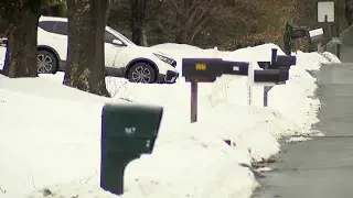 Connecticut's bears don't truly hibernate during the winter