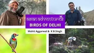 Birds Of Delhi - A Webinar By KB Singh | Birdwatching In Delhi | Birding Near Delhi