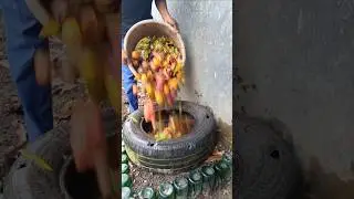 membuat kompos padat dari sampah pasar#shorst #gardening #fypyoutube