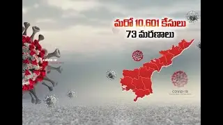 AP Reports 10,601 New COVID-19 Cases and 73 Deaths in 24 hours