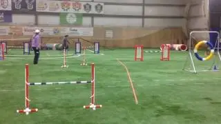 Tanner Gamble HD Fetch Dec 10 2016