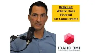 Visceral Fat- Not From Spillover.  What Causes Accumulation of Fat Around Abdominal Organs?