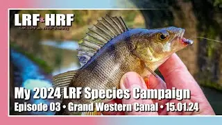 Episode 03: My 2024 LRF Species Hunt - Grand Western Canal