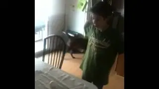 Smashing egg on head