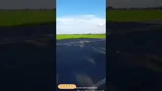 #unasolavida