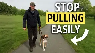 7-Day Transformation: STOP Leash Pulling & Jumping! (Banks)