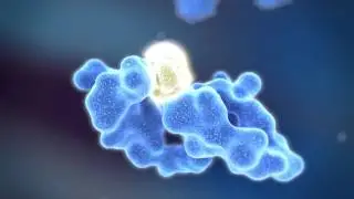 Bruker Daltonik - Disulfide Bonds