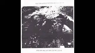 Total Hipster Crusher / Wake The Machines - Fourblastsofnoise / Wake The Machines (Full Split 2014)