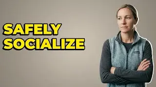 Where Should Puppies Socialize With Other Dogs?