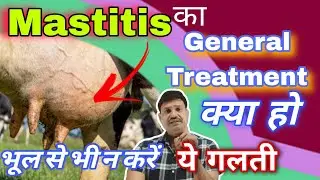 Mastitis Treatment in Cows and Buffaloes: Do not make this mistake even by mistake 😇