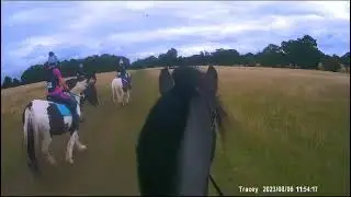 SamsonCam. Windsor fun ride
