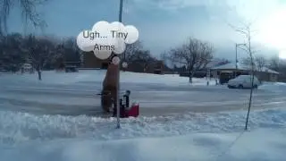 Trex Makes a Snow Angel and Then Get's To Work
