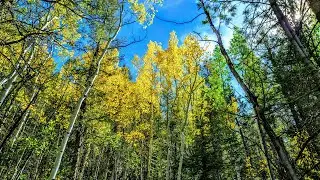 Hankins Pass Trail | Colorado Outdoor Adventures