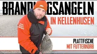 Brandungsangeln in Kellenhusen / Plattfische mit Futterkorb Feedern / mit Tipps und Tricks