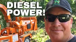 RENTING A BIG WOOD CHIPPER FOR STORM CLEANUP ON A 90° DAY