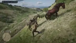 the opean world glitch hack /red dead redemption story