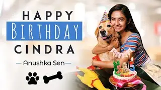 My Cindra&rsquo;s Birthday Pawty! | Celebrating Cindra&rsquo;s Birthday | Anushka Sen