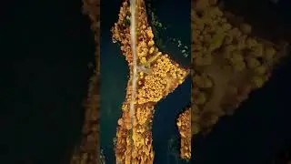 Yellow 💛 Island..#shortz #youtubeshorts #shorts #reelsviral #instareelsvideo #shortsbeta #shortsfeed