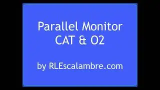 Parallel Monitor
