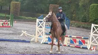 Bianca Schoenmakers on showjumping and coaching with the Ipos Rein Sensors.