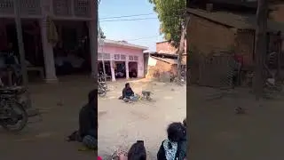 &ldquo;Monkey Talent Show Goes Viral! Watch Now! 🐵🔥&rdquo; #funny #monkeytalent #dance #hilariousperformance