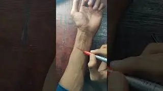 Fake cut tattoo drawing/ colour drawing #video #fakecut