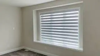 Shades Forever - Dual shade