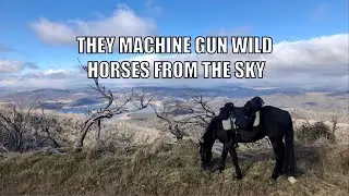 They Machine Gun Wild Horses From Helicopters | Fable's Story