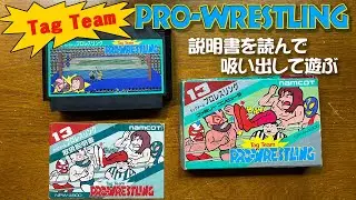 ファミコン ナムコ タッグチームプロレスリング 説明書を読んで操作を理解しゲームデータをダンプして内部データを確認 その後エミュレーターで遊ぶ Data East Tag Team Wrestling
