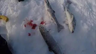 Поездка Маллигана - Часть 2