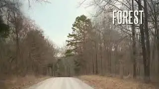 Lusk Creek Canyon - The Shawnee National Forest