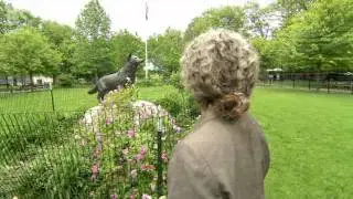 $9.99 Minute: Van Cortlandt Park