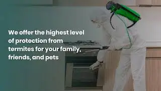 Local Termite Control Companies | treebarktermiteandpestcontrol.com | Callus 714-406-5501