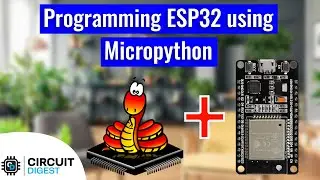 How to Program ESP32 with MicroPython using Arduino Labs?
