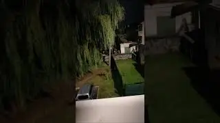 Лучшие моменты трансляции "Узбәк- Башкорт- Татар ☪️ в прямом эфире!" (0:00–1:00)