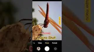 Dragonfly Macro shorts   #macro #mobile photography  #rockxysgraphy#shorts #nature
