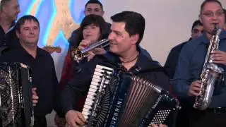 Srdjan Demirovic -Katarinina Cetvorka  NG Program