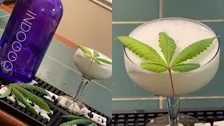 SNOOP DOGG INDOGGO GIN CANNABIS COCKTAIL &ldquo;THE LAID BACK&rdquo;