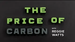 The Price of Carbon