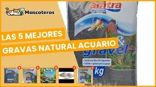 Las 5 mejores gravas natural acuario