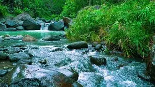 Relaxing Natural sound of a river in the forest, with a waterfall of flowing water, white noise
