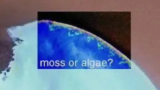 Alien remains on Mars 6