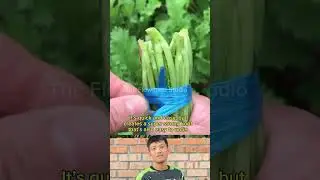 A smart trick every farmer should know #lifehacks