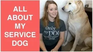 ALL ABOUT MY SERVICE DOG! | SD Info