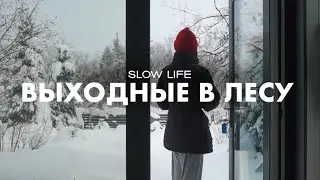 СБЕЖАЛА В ЛЕС ИЗ МОСКВЫ