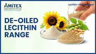 De-Oiled Lecithin Solutions | Non-GMO Plant-Based Ingredients by Amitex
