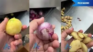 Automatic Peeler Machine | Onion Peeling | Onion Peeling | Ginger Peeler | Carrot Peeling machine